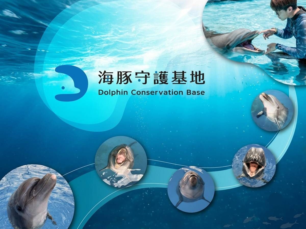 海豚守護基地