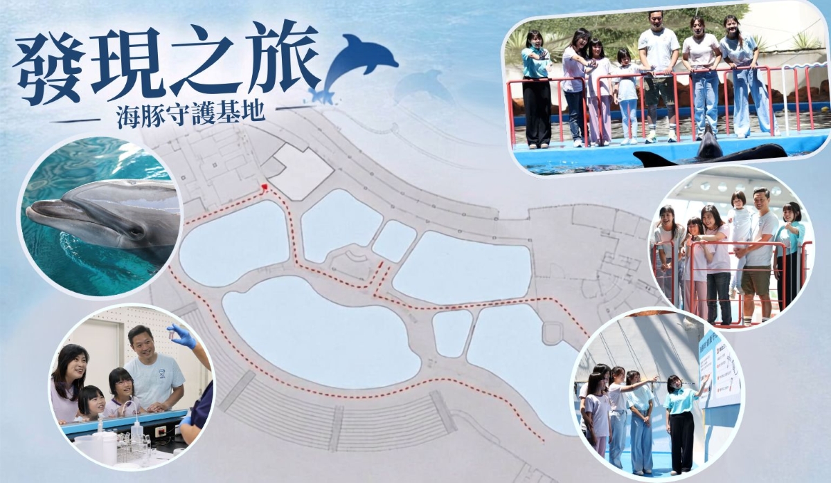 發現之旅