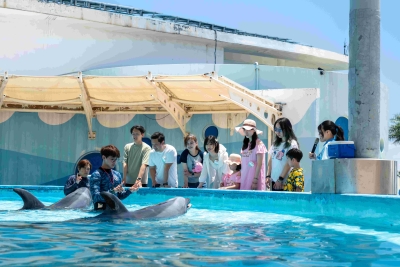 海豚見面會1