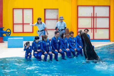 海獅探索1