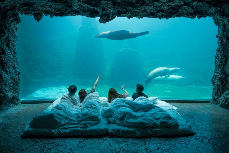 Sleep in Ocean 2