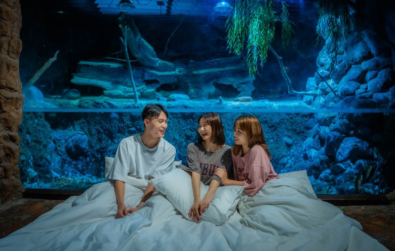 Sleep in Ocean 3