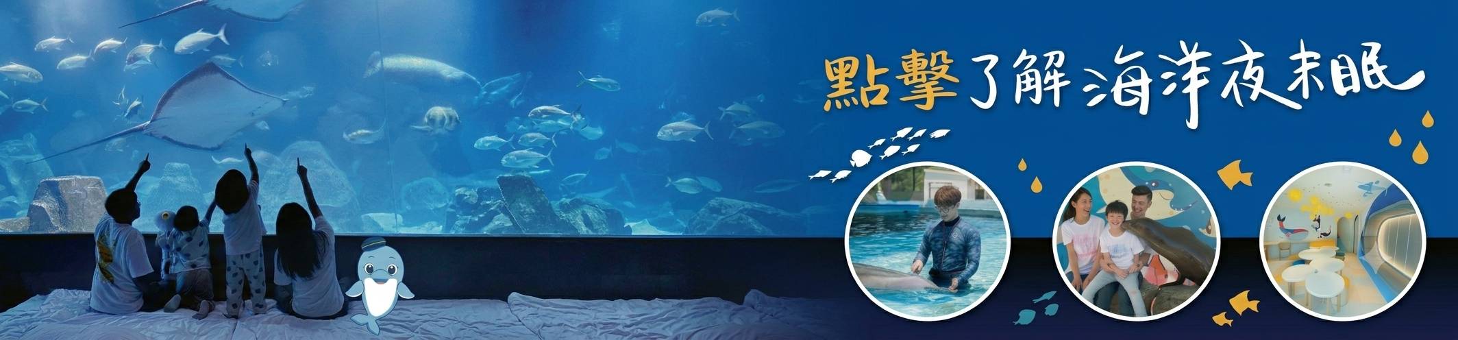 海洋公園夜未眠